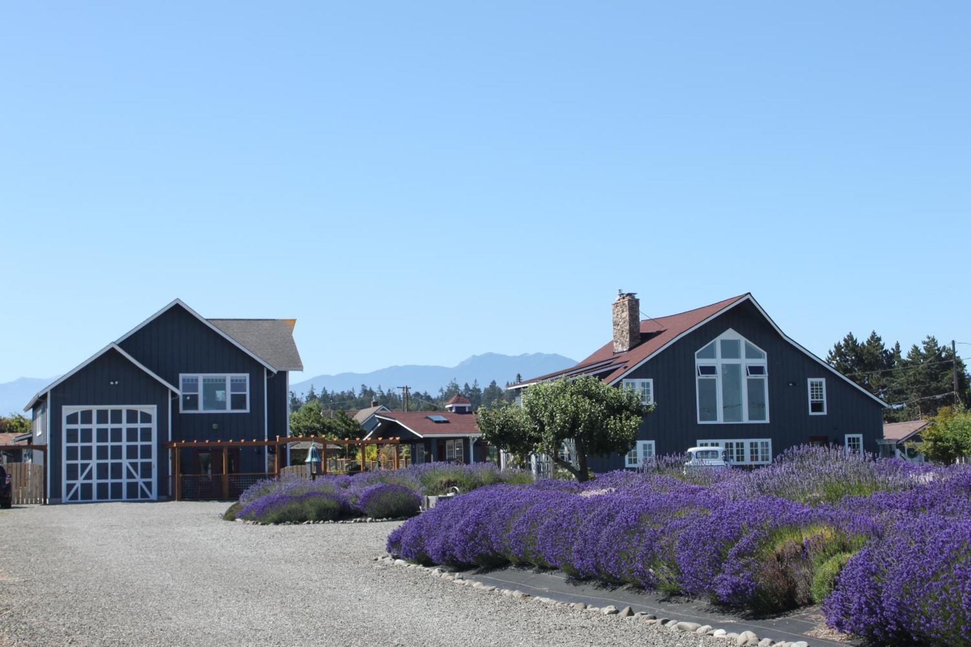 Dungeness Barn House Bed And Breakfast At Two Crows Farm Секим Экстерьер фото