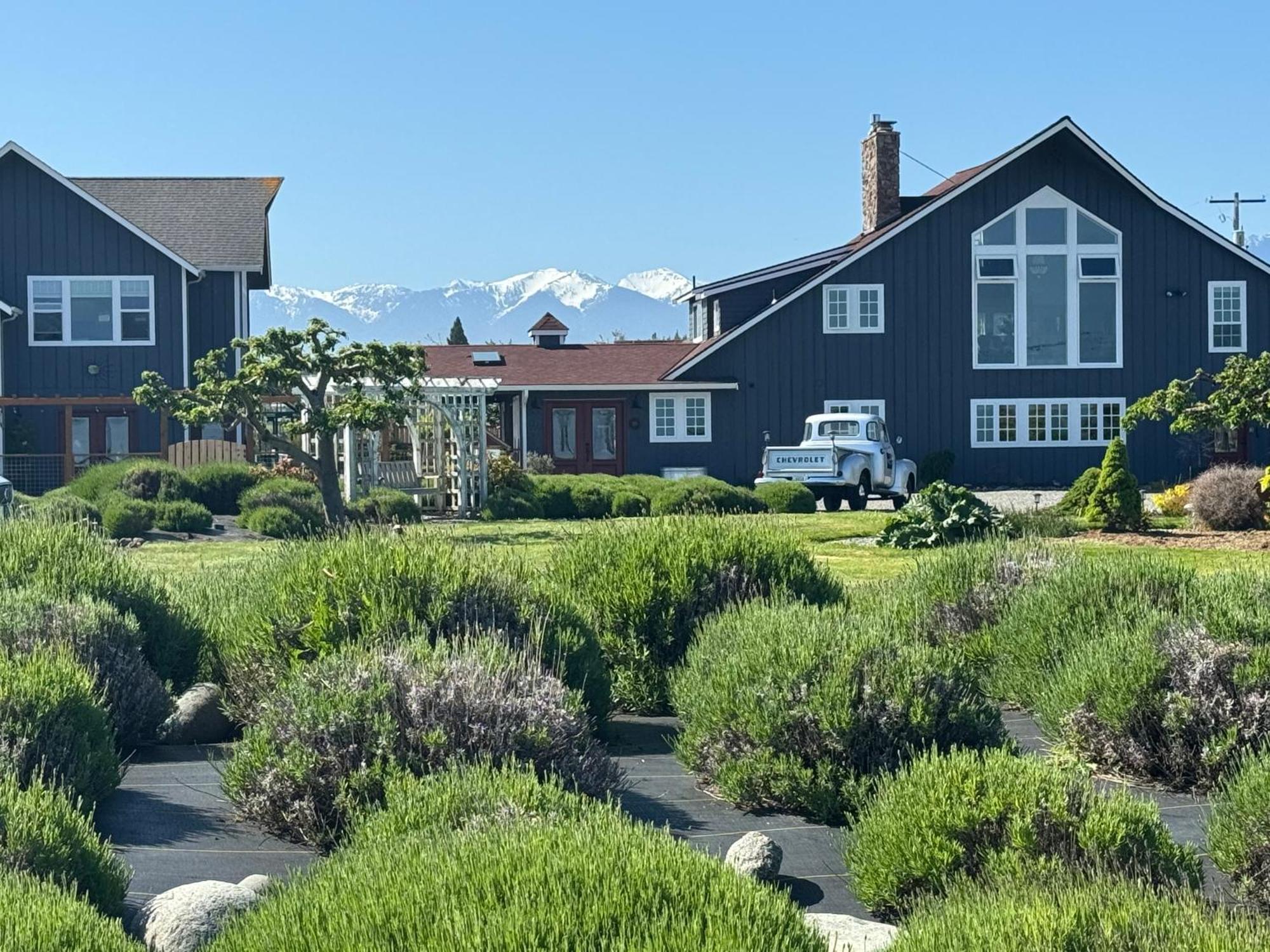Dungeness Barn House Bed And Breakfast At Two Crows Farm Секим Экстерьер фото